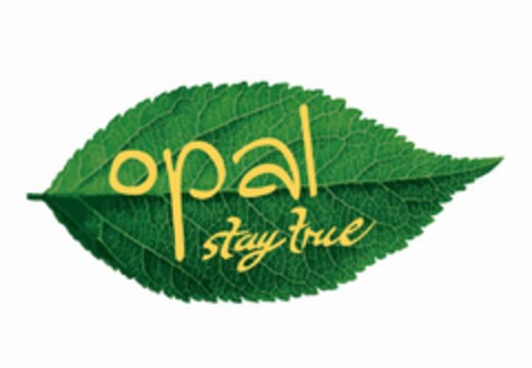 opal stay true Logo (EUIPO, 19.08.2020)