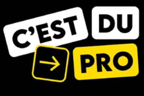 C'EST DU PRO Logo (EUIPO, 04/14/2023)