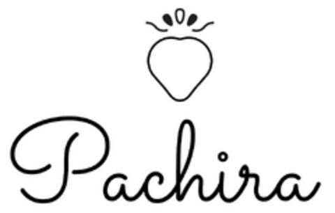 Pachira Logo (EUIPO, 09/11/2023)