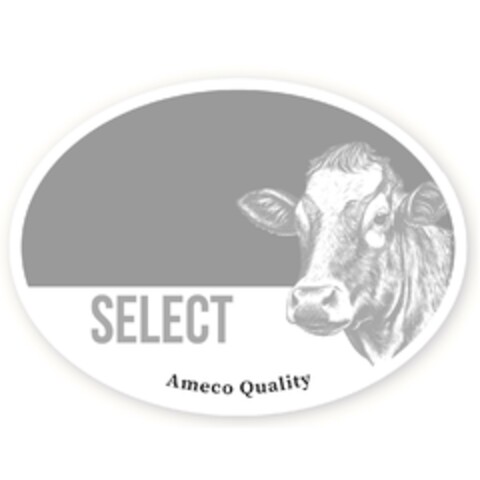 SELECT Ameco Quality Logo (EUIPO, 04.09.2024)