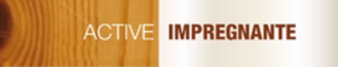 ACTIVE IMPREGNANTE Logo (EUIPO, 31.03.2010)