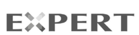 Expert Logo (EUIPO, 28.08.2013)