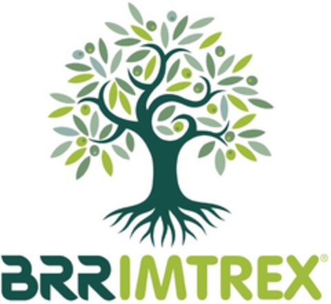 BRR IMTREX Logo (EUIPO, 03.04.2018)