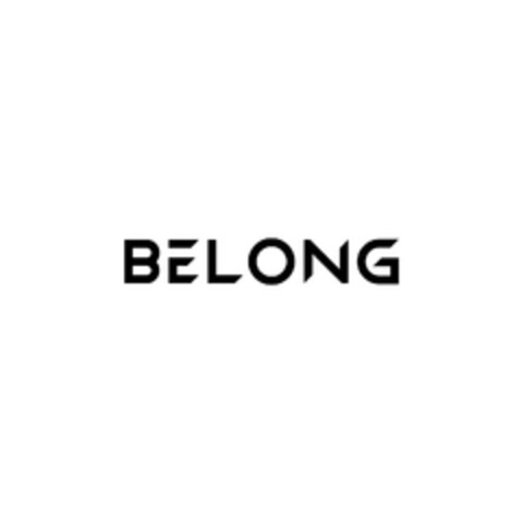 BELONG Logo (EUIPO, 21.02.2020)