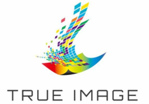 TRUE IMAGE Logo (EUIPO, 08/25/2020)