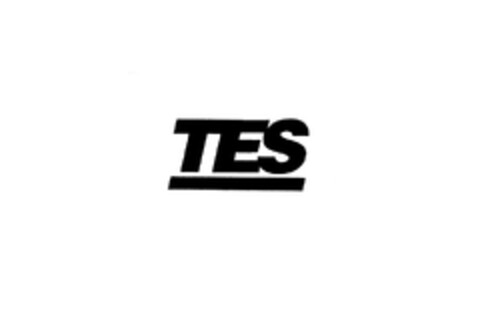 TES Logo (EUIPO, 24.01.2005)