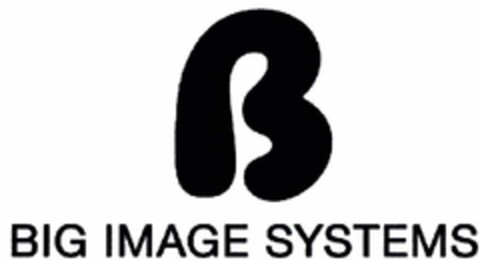 BIG IMAGE SYSTEMS Logo (EUIPO, 03.03.2008)