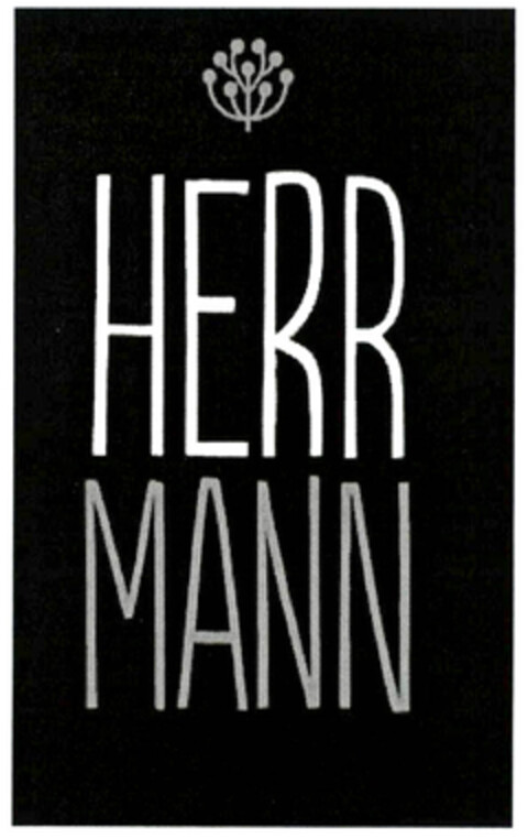 HERR MANN Logo (EUIPO, 11/09/2012)