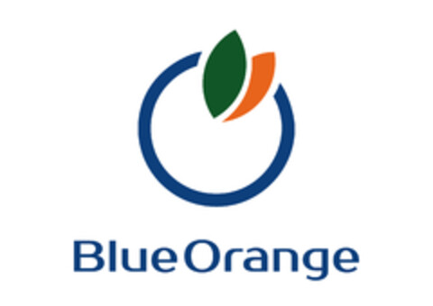Blue Orange Logo (EUIPO, 29.06.2016)