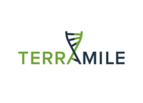 TERRAMILE Logo (EUIPO, 05.08.2020)