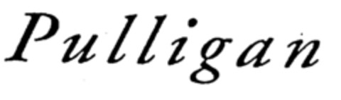 Pulligan Logo (EUIPO, 04.09.1996)