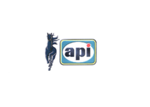 api Logo (EUIPO, 10/05/2004)