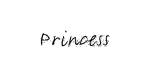 Princess Logo (EUIPO, 04.10.2006)