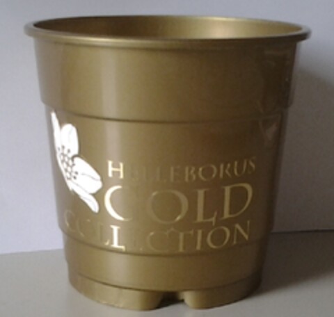 HELLEBORUS GOLD COLLECTION Logo (EUIPO, 25.05.2012)