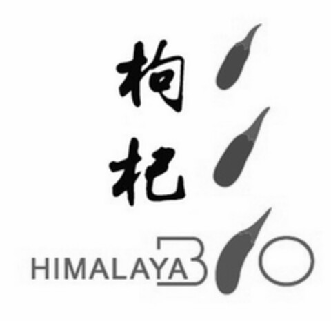 HIMALAYA BIO Logo (EUIPO, 14.10.2013)