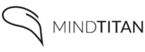 MINDTITAN Logo (EUIPO, 08/25/2017)