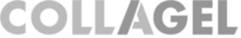 COLLAGEL Logo (EUIPO, 01/25/2019)