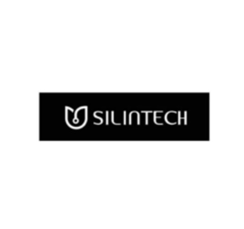 SILINTECH Logo (EUIPO, 17.09.2019)