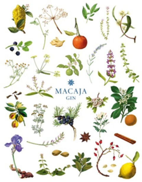 MACAJA GIN Logo (EUIPO, 03.04.2020)