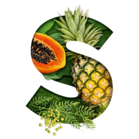 S Logo (EUIPO, 09/14/2023)