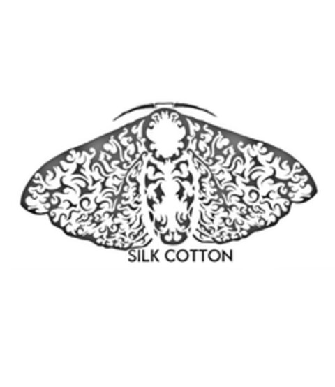 SILK COTTON Logo (EUIPO, 30.01.2024)