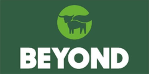 BEYOND Logo (EUIPO, 07/23/2024)