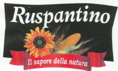 Ruspantino - il sapore della natura Logo (EUIPO, 27.04.2011)