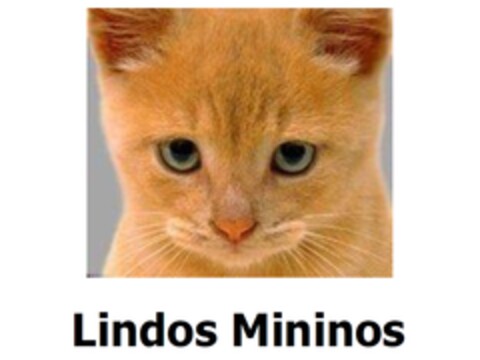 LINDOS MININOS Logo (EUIPO, 09.03.2012)