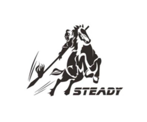 STEADY Logo (EUIPO, 11.11.2014)