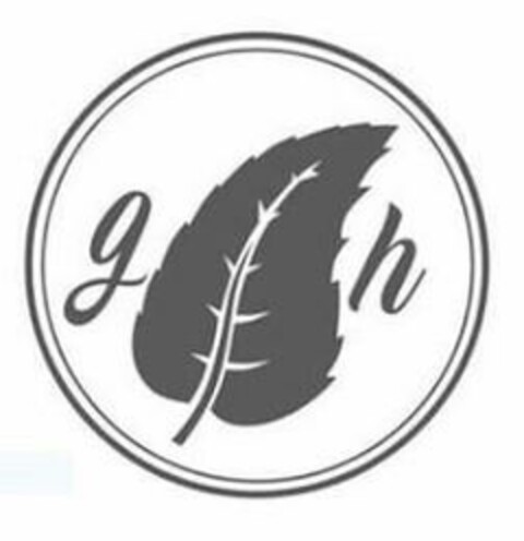 G H Logo (EUIPO, 03/20/2024)