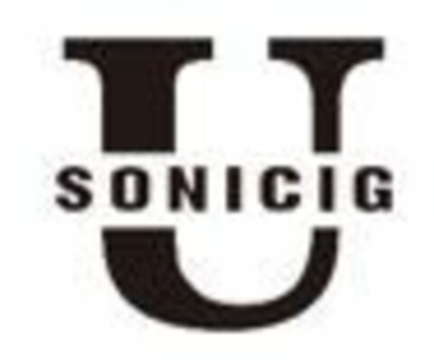 USONICIG Logo (EUIPO, 23.12.2016)