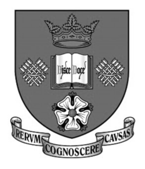 DISCE DOCE RERVM COGNOSCERE CAVSAS Logo (EUIPO, 02/20/2019)
