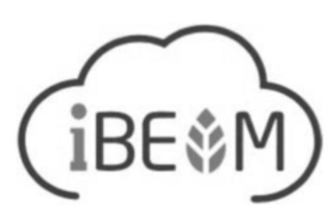 iBEAM Logo (EUIPO, 02.06.2021)