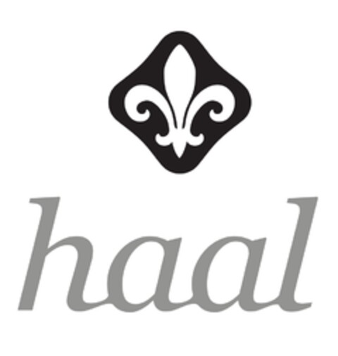 HAAL Logo (EUIPO, 19.11.2009)