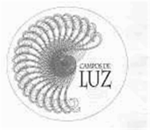 CAMPOS DE LUZ Logo (EUIPO, 04/28/2011)