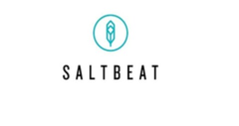 SALTBEAT Logo (EUIPO, 09.04.2014)