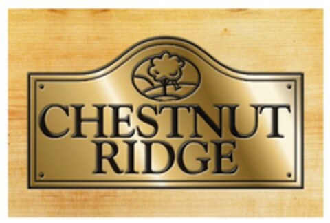 CHESTNUT RIDGE Logo (EUIPO, 02.06.2008)