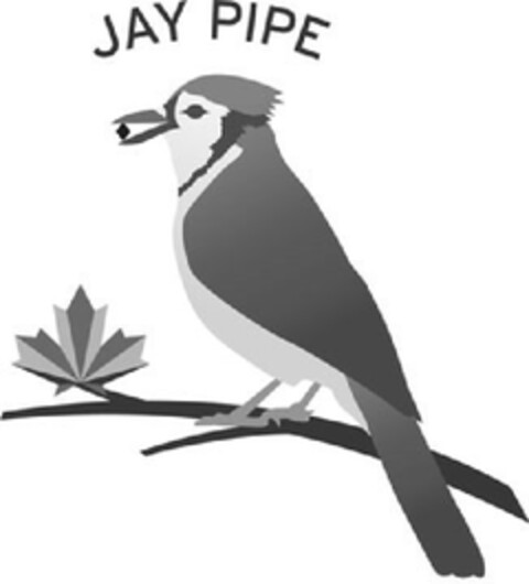 JAY PIPE Logo (EUIPO, 10.07.2013)