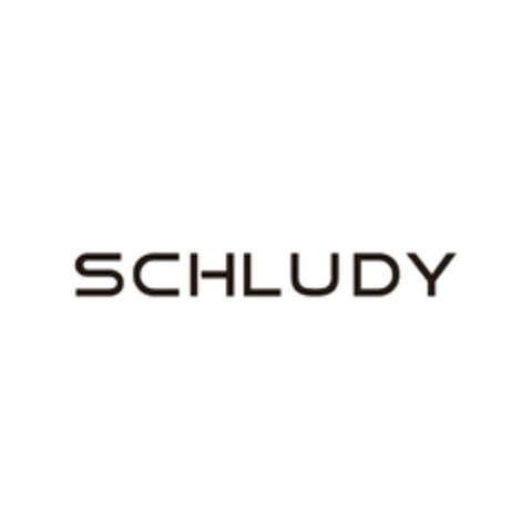 SCHLUDY Logo (EUIPO, 08.08.2020)