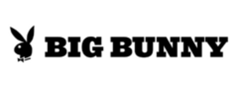 BIG BUNNY Logo (EUIPO, 01.04.2021)
