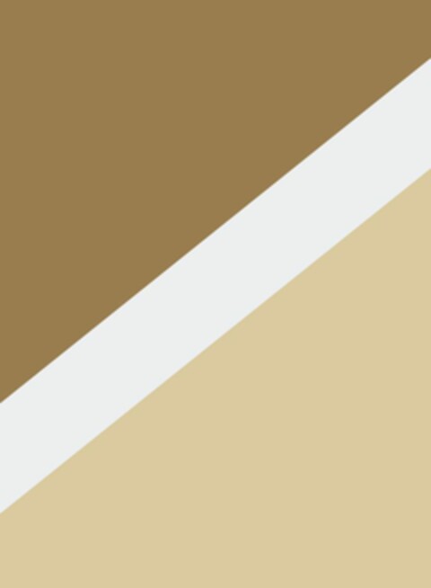  Logo (EUIPO, 06/11/2021)