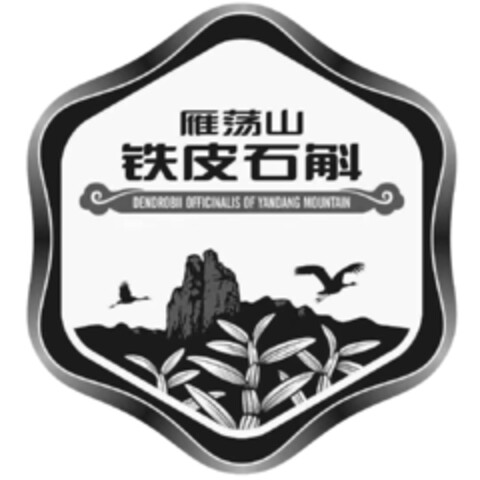 DENDROBII OFFICINALIS OF YANDANG MOUNTAIN Logo (EUIPO, 18.05.2022)