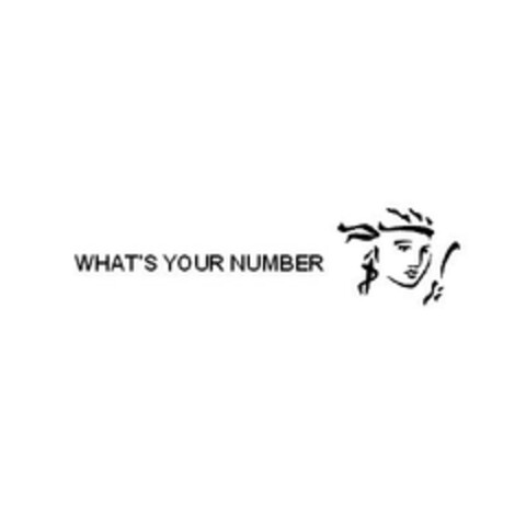 WHAT'S YOUR NUMBER Logo (EUIPO, 16.08.2007)