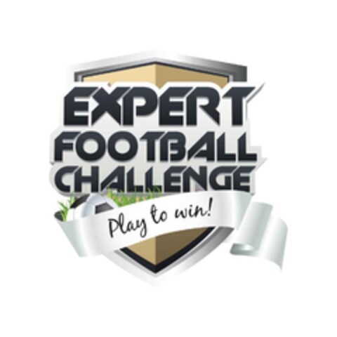 EXPERT FOOTBALL CHALLENGE play to win! Logo (EUIPO, 06/06/2011)