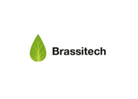 Brassitech Logo (EUIPO, 28.04.2015)