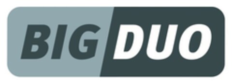 BIGDUO Logo (EUIPO, 07/10/2019)