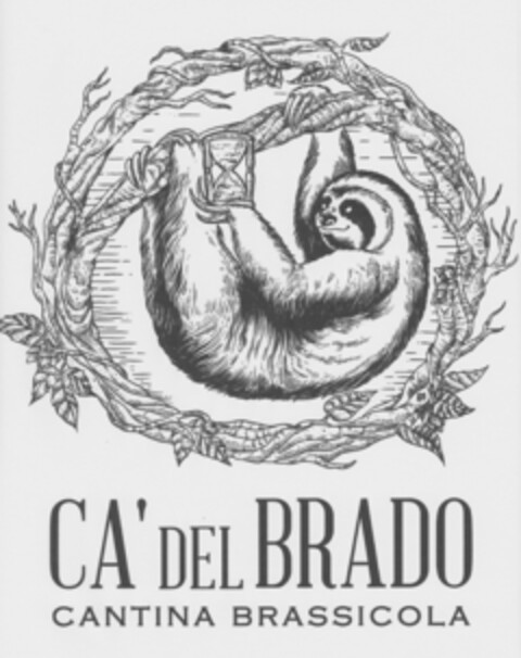 CA' DEL BRADO CANTINA BRASSICOLA Logo (EUIPO, 14.01.2020)