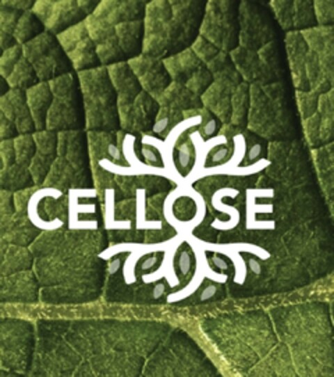 CELLOSE Logo (EUIPO, 10.12.2021)