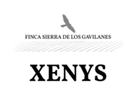 FINCA SIERRA DE LOS GAVILANES XENYS Logo (EUIPO, 11.01.2022)