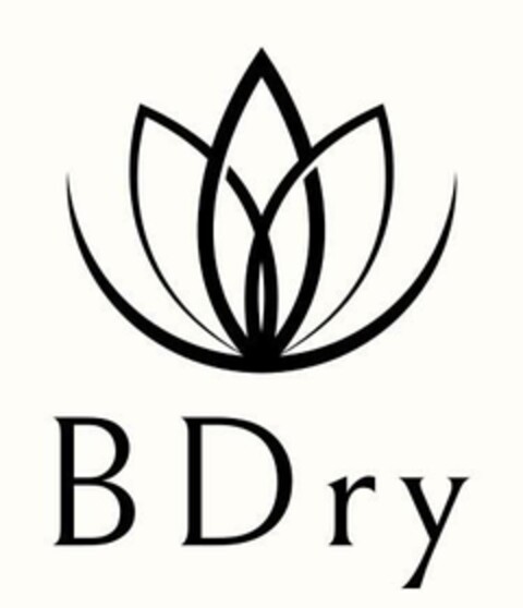 BDry Logo (EUIPO, 06.04.2023)